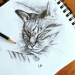 Sketch of Tabby - by Lisa Acciai