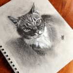 Sketch of Tabby - by Lisa Acciai