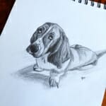 Sketch of Roscoe - by Lisa Acciai