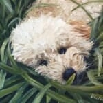 Ellie - oil painting by Lisa Acciai