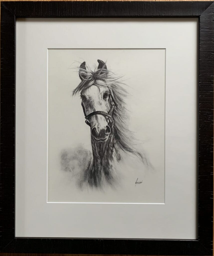 Framed and Matted Charcoal Horse drawing - Acciai