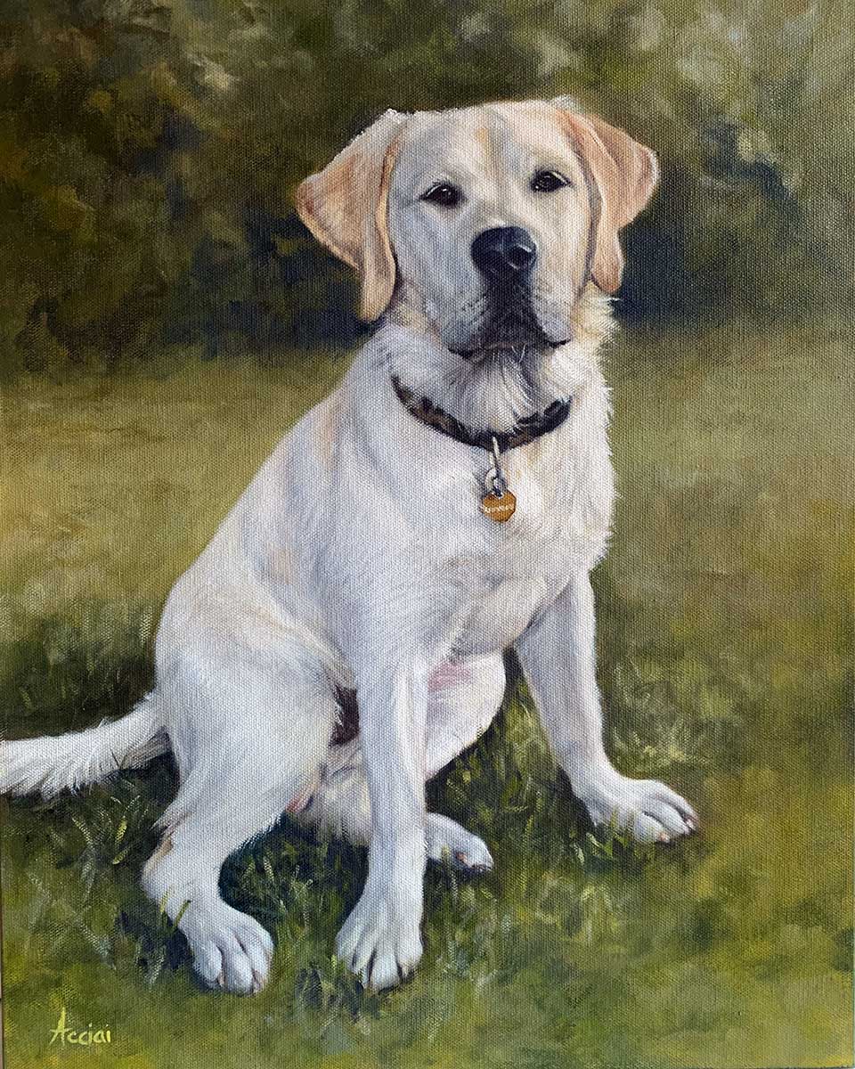 Gunner, Labrador-oil-LAcciai-web2