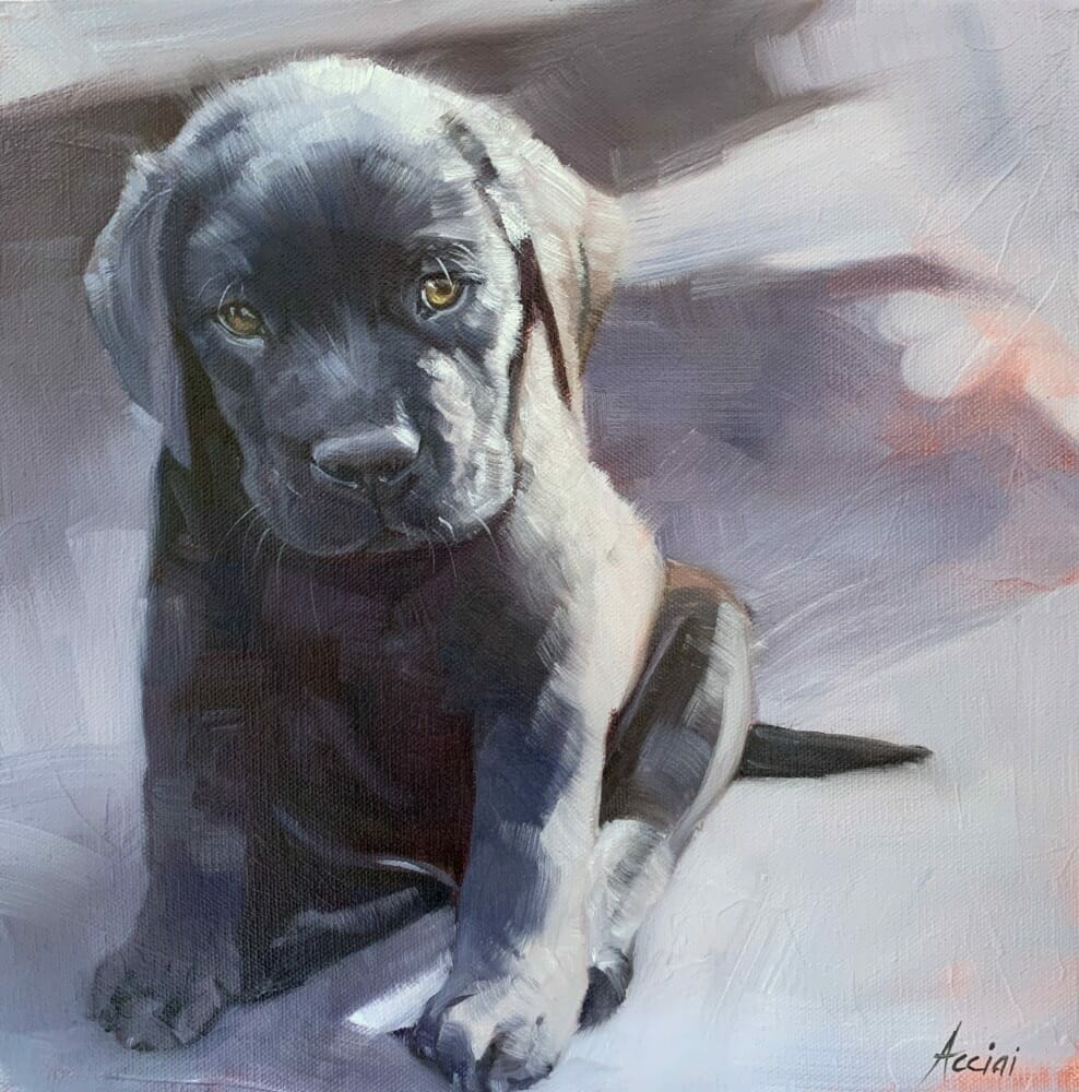 Purple-Puppy-Love-12x12-oil-LAcciai