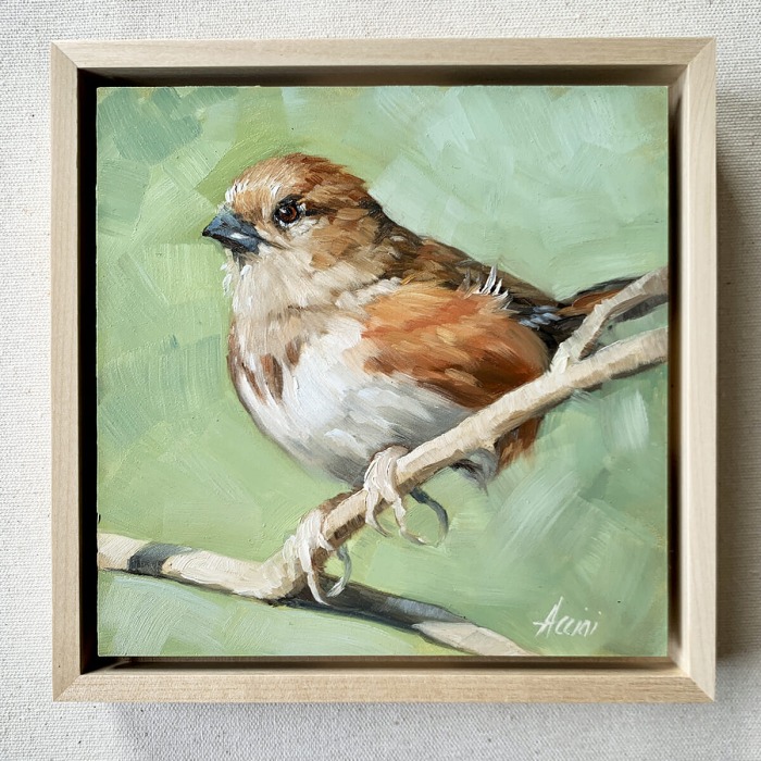 Jenny-Towhee-LAcciai-6x6-oil